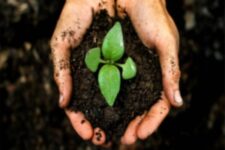 Sustainability – Organic Farming