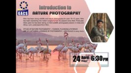 Career Guidance Series – Introduction to Nature Photography